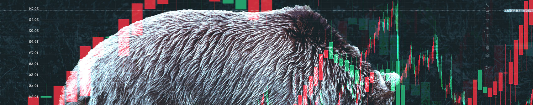 A Bear Market Compass: How To Spot An Equity Market Bottom