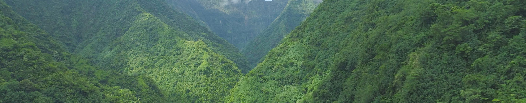 LATAM: Macro And Outlook Divergences