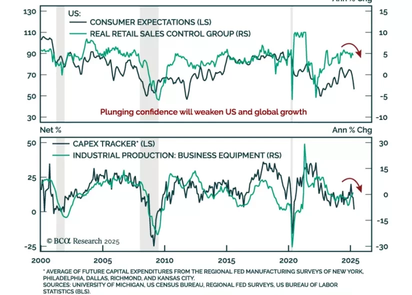 Macro Insight
