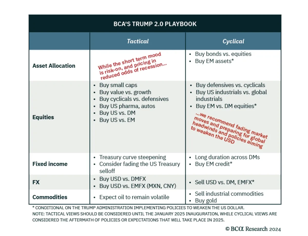 Trump Investment Ideas