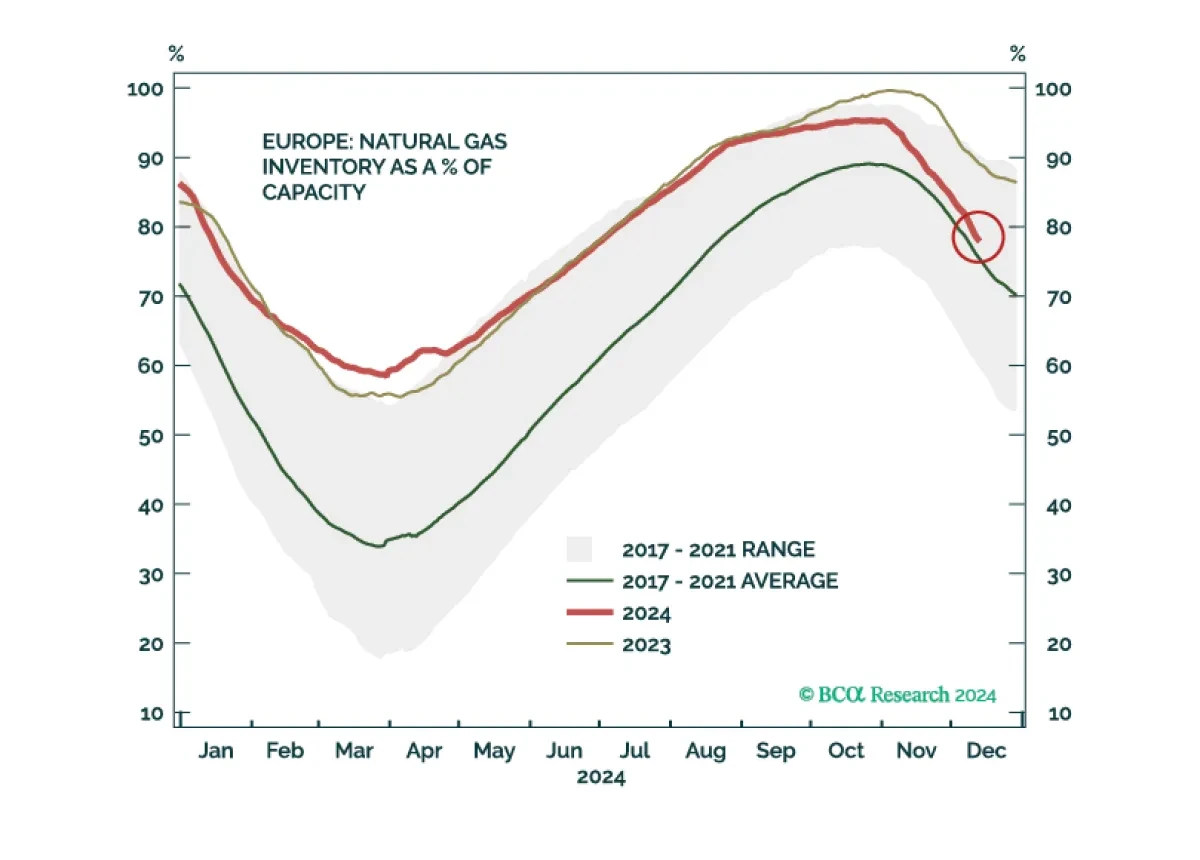 bca.ces_si_2024_12_19_cms.png