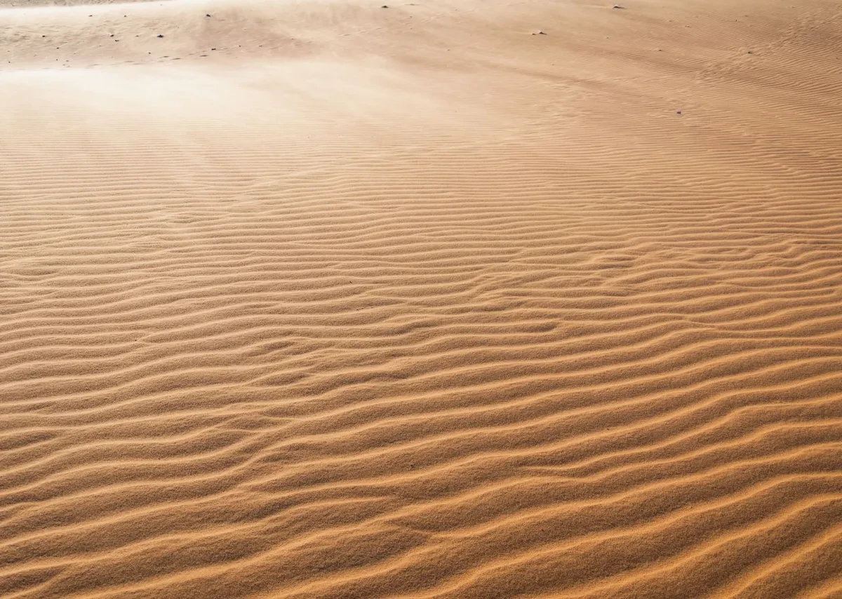 sand-lines_sm.jpg