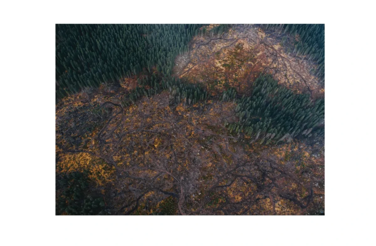 war_with_margins.png