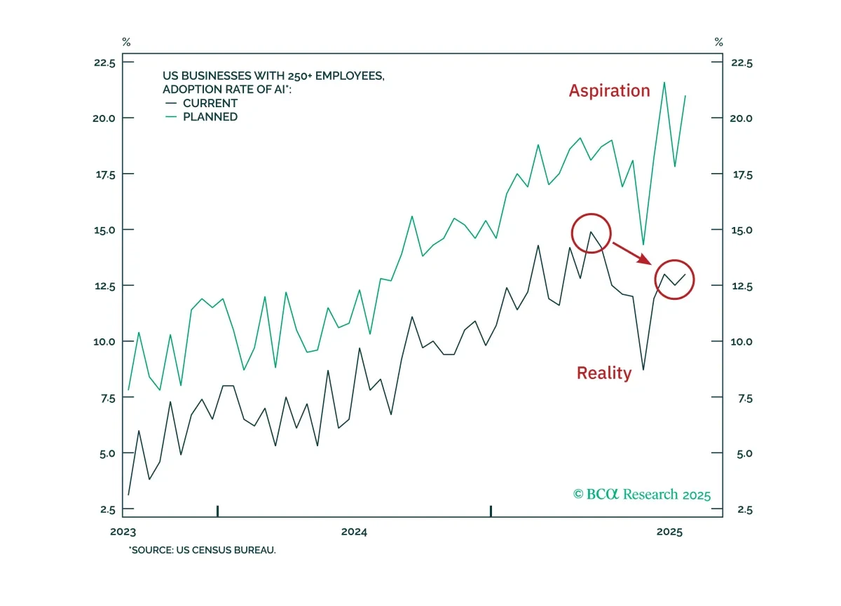 bca.bca_sr_2025_12_03_cms.png