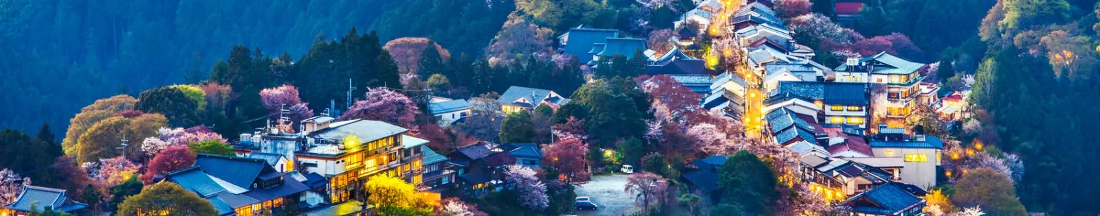 f_image_20230317_203145.JPG